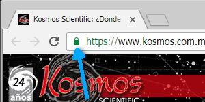 Icono Modo de Seguridad de Chrome