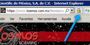 Icono Modo de Seguridad de Internet Explorer