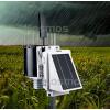 WatchDog 3220 Wireless Rain Station