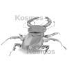 Metal Earth - Stag Beetle