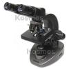 MS-0160 Carson Microscope 1600x