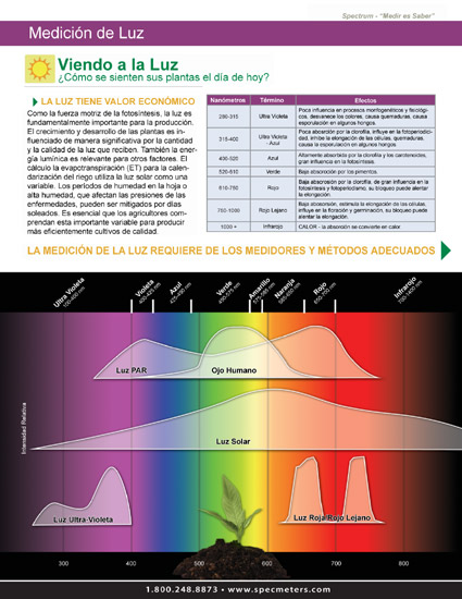 Light_Brochure1.jpg